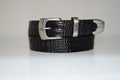 wild croc belt